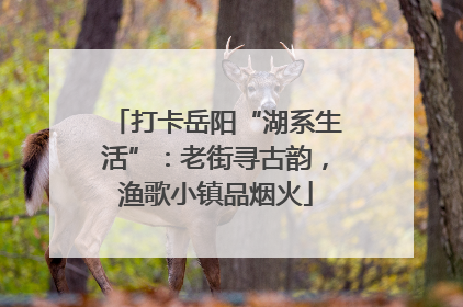 打卡岳阳“湖系生活”：老街寻古韵，渔歌小镇品烟火