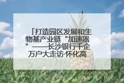 打造园区发展和生物基产业链“加速器”——长沙银行千企万户大走访·怀化高新区、生物基产业链专场活动举行