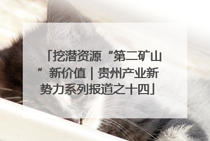 挖潜资源“第二矿山”新价值｜贵州产业新势力系列报道之十四