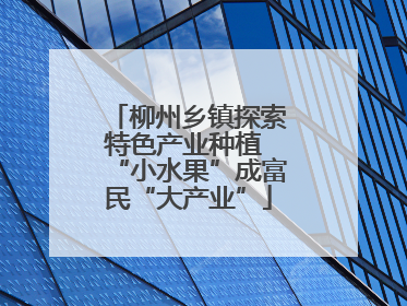 柳州乡镇探索特色产业种植 “小水果”成富民“大产业”