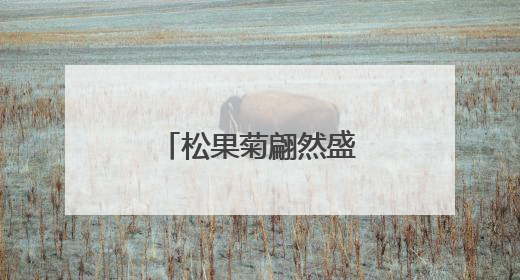 松果菊翩然盛开，像夏天写给大地的情书
