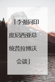 李强同印度尼西亚总统普拉博沃会谈
