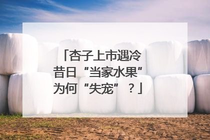杏子上市遇冷 昔日“当家水果”为何“失宠”？