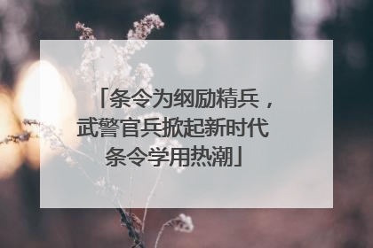 条令为纲励精兵，武警官兵掀起新时代条令学用热潮