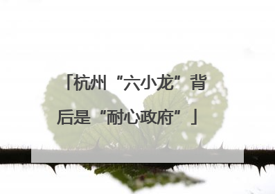 杭州“六小龙”背后是“耐心政府”