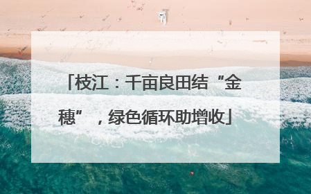 枝江：千亩良田结“金穗”，绿色循环助增收