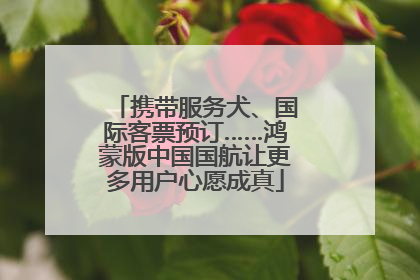 携带服务犬、国际客票预订……鸿蒙版中国国航让更多用户心愿成真