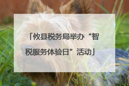 攸县税务局举办“智税服务体验日”活动