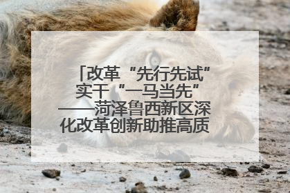 改革“先行先试” 实干“一马当先”——菏泽鲁西新区深化改革创新助推高质量发展纪实