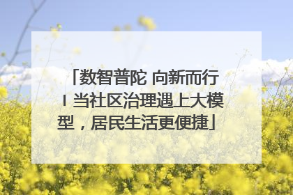 数智普陀 向新而行〡当社区治理遇上大模型，居民生活更便捷
