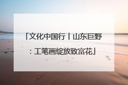 文化中国行丨山东巨野：工笔画绽放致富花