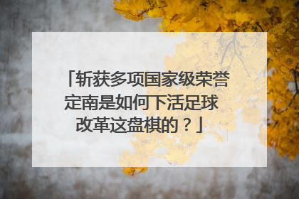斩获多项国家级荣誉 定南是如何下活足球改革这盘棋的？