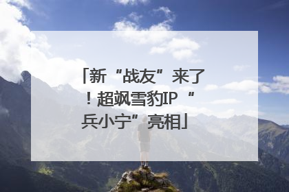 新“战友”来了！超飒雪豹IP“兵小宁”亮相
