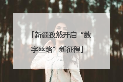 新疆孜然开启“数字丝路”新征程