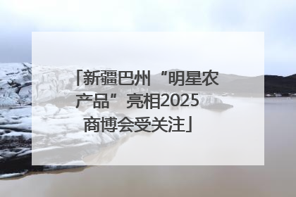 新疆巴州“明星农产品”亮相2025商博会受关注