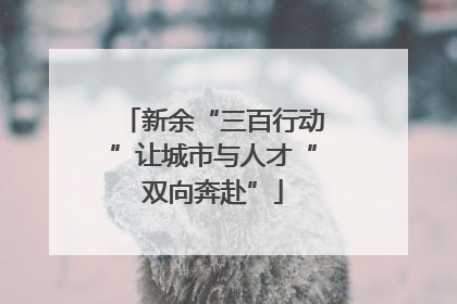 新余“三百行动”让城市与人才“双向奔赴”