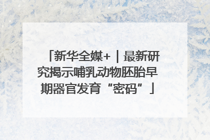 新华全媒+｜最新研究揭示哺乳动物胚胎早期器官发育“密码”