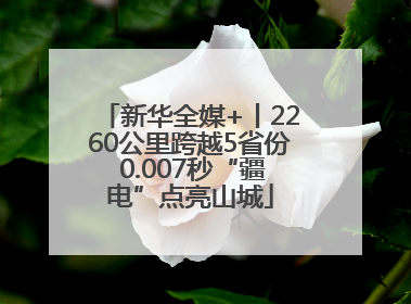 新华全媒+丨2260公里跨越5省份 0.007秒“疆电”点亮山城