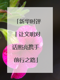 新华时评丨让文明对话照亮携手前行之路