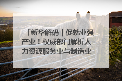 新华解码｜促就业强产业！权威部门解析人力资源服务业与制造业融合发展试点