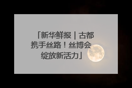 新华鲜报｜古都携手丝路！丝博会绽放新活力