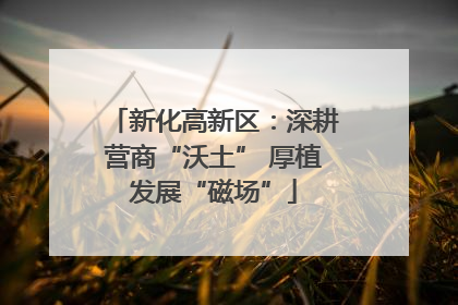 新化高新区：深耕营商“沃土” 厚植发展“磁场”