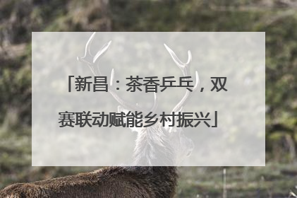 新昌：茶香乒乓，双赛联动赋能乡村振兴