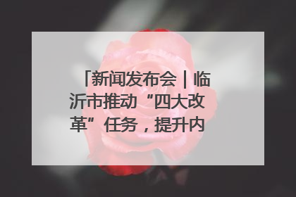 新闻发布会｜临沂市推动“四大改革”任务，提升内部审计监督效能