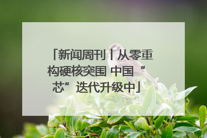 新闻周刊丨从零重构硬核突围 中国“芯”迭代升级中