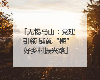 无锡马山：党建引领 铺就“梅”好乡村振兴路