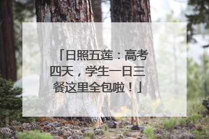 日照五莲：高考四天，学生一日三餐这里全包啦！