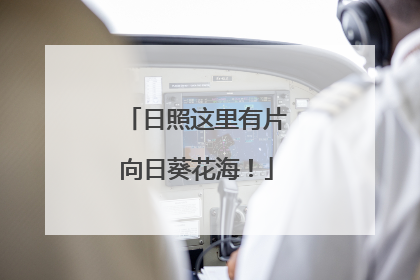 日照这里有片向日葵花海！