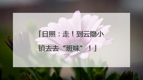 日照：走！到云隐小镇去去“班味”！