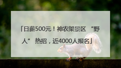 日薪500元！神农架景区 “野人” 热招，近4000人报名