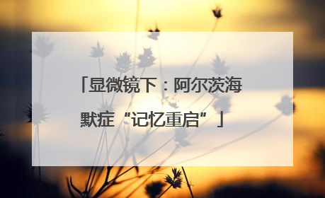 显微镜下：阿尔茨海默症“记忆重启”