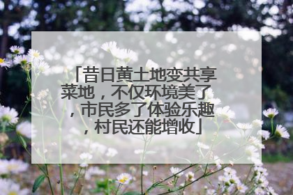 昔日黄土地变共享菜地，不仅环境美了，市民多了体验乐趣，村民还能增收