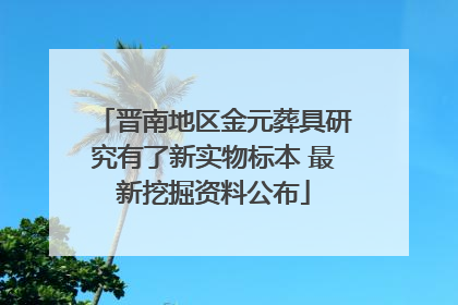 晋南地区金元葬具研究有了新实物标本 最新挖掘资料公布