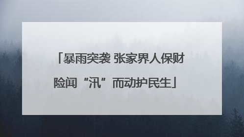 暴雨突袭 张家界人保财险闻“汛”而动护民生