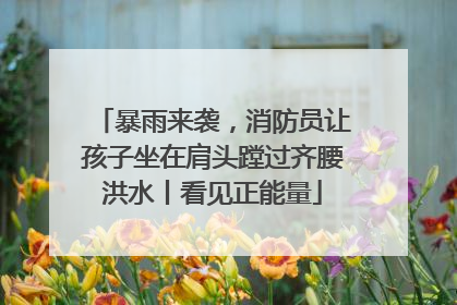 暴雨来袭，消防员让孩子坐在肩头蹚过齐腰洪水丨看见正能量