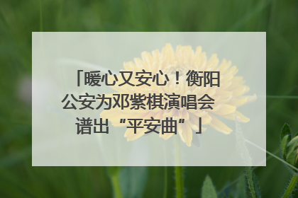 暖心又安心！衡阳公安为邓紫棋演唱会谱出“平安曲”