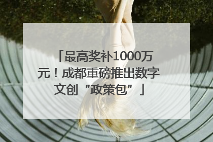 最高奖补1000万元！成都重磅推出数字文创“政策包”