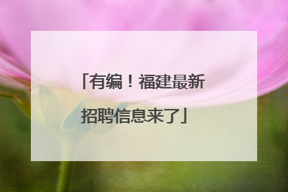 有编！福建最新招聘信息来了