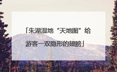 朱湖湿地“天地图”给游客一双隐形的翅膀
