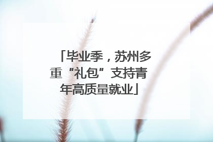 毕业季，苏州多重“礼包”支持青年高质量就业