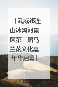 武威祁连山冰沟河景区第二届马兰花文化嘉年华启幕