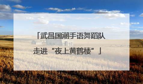 武昌国潮手语舞蹈队走进“夜上黄鹤楼”