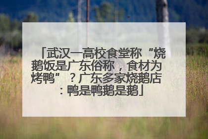 武汉一高校食堂称“烧鹅饭是广东俗称，食材为烤鸭”？广东多家烧鹅店：鸭是鸭鹅是鹅