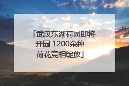 武汉东湖荷园即将开园 1200余种荷花竞相绽放