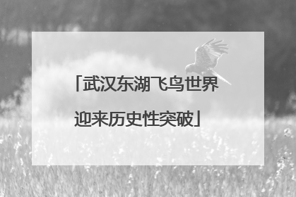 武汉东湖飞鸟世界迎来历史性突破