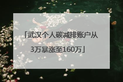 武汉个人碳减排账户从3万暴涨至160万